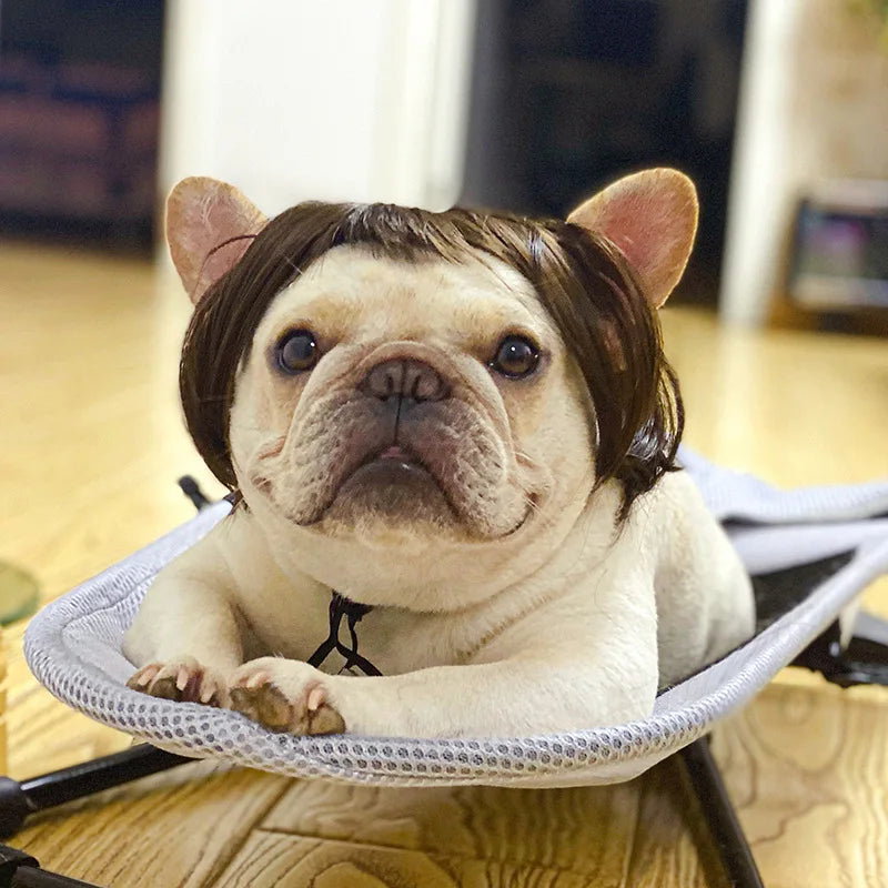 Funny Pet Wig Costume – Cute Dog & Cat Cosplay Hair for Photos, Pranks & Dress-Up Fun