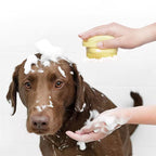 Silicone Pet Bath & Massage Glove for Dogs & Cats