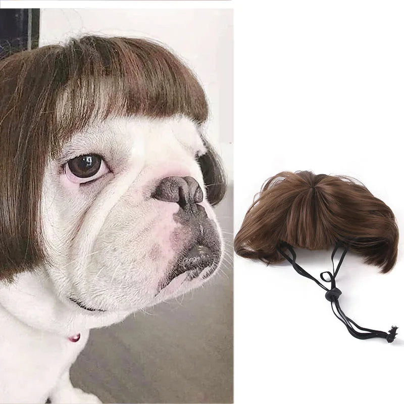 Funny Pet Wig Costume – Cute Dog & Cat Cosplay Hair for Photos, Pranks & Dress-Up Fun