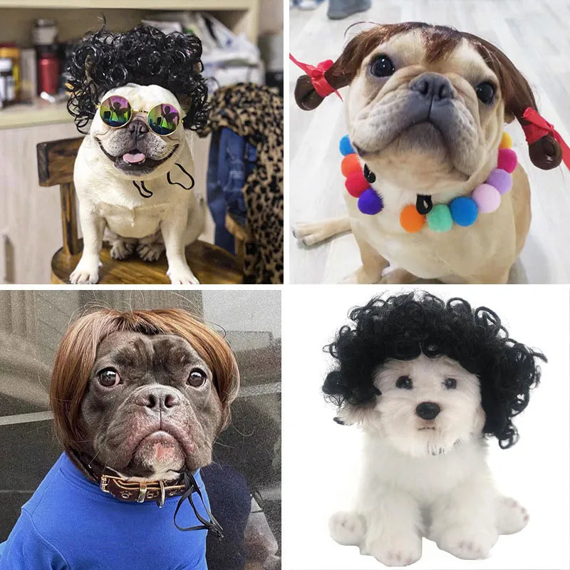 Funny Pet Wig Costume – Cute Dog & Cat Cosplay Hair for Photos, Pranks & Dress-Up Fun