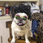 Funny Pet Wig Costume – Cute Dog & Cat Cosplay Hair for Photos, Pranks & Dress-Up Fun