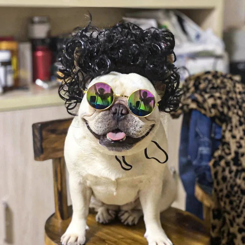 Funny Pet Wig Costume – Cute Dog & Cat Cosplay Hair for Photos, Pranks & Dress-Up Fun