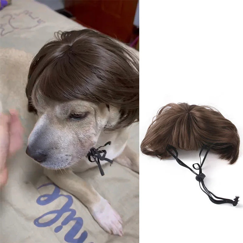 Funny Pet Wig Costume – Cute Dog & Cat Cosplay Hair for Photos, Pranks & Dress-Up Fun