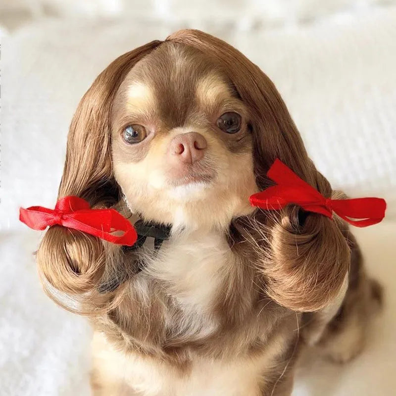 Funny Pet Wig Costume – Cute Dog & Cat Cosplay Hair for Photos, Pranks & Dress-Up Fun