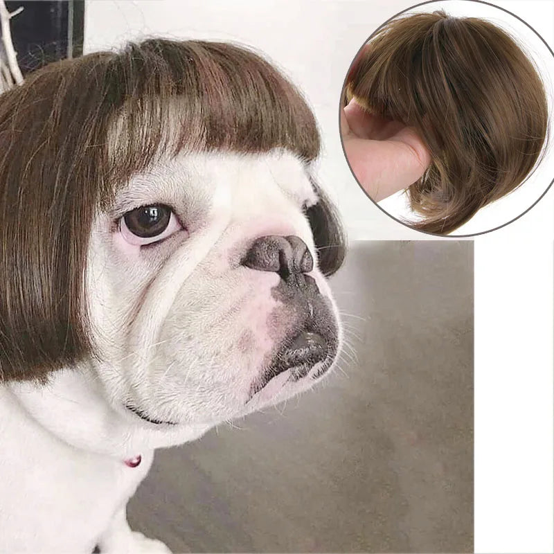 Funny Pet Wig Costume – Cute Dog & Cat Cosplay Hair for Photos, Pranks & Dress-Up Fun