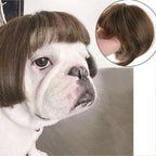 Funny Pet Wig Costume – Cute Dog & Cat Cosplay Hair for Photos, Pranks & Dress-Up Fun