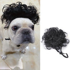 Funny Pet Wig Costume – Cute Dog & Cat Cosplay Hair for Photos, Pranks & Dress-Up Fun