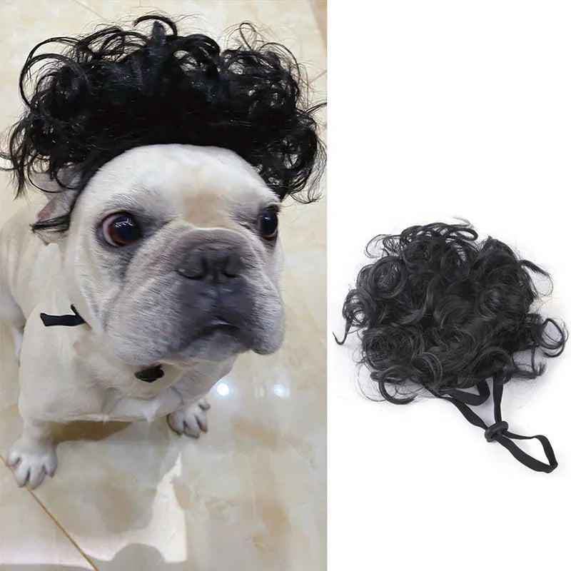 Funny Pet Wig Costume – Cute Dog & Cat Cosplay Hair for Photos, Pranks & Dress-Up Fun